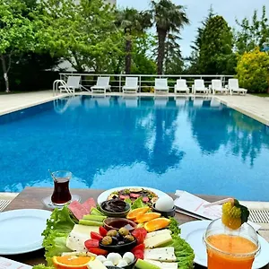 book here